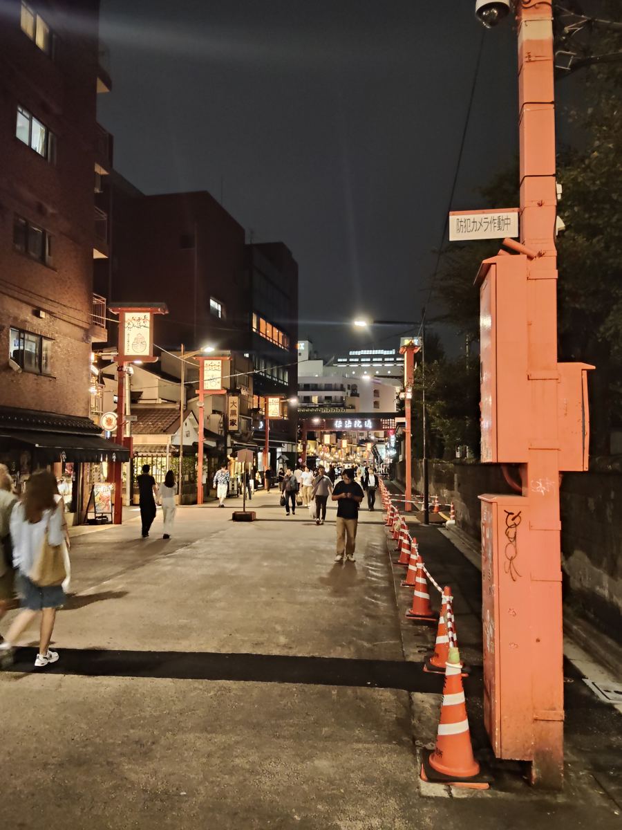 Denboin street with lanterns at night